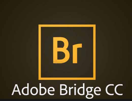 adobe bridge mac torrent